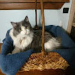 Meet your Posher, Linda